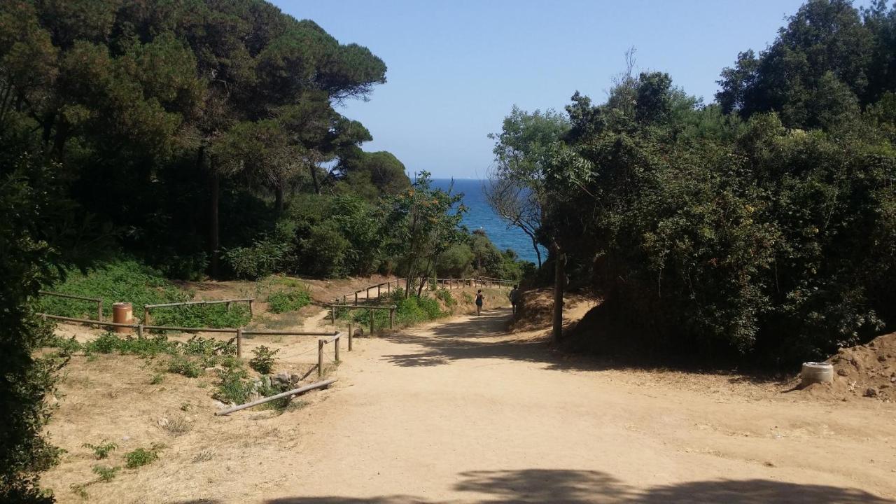 Apartment Sa Boadella Beach, Lloret De Mar - Costa Brava Bagian luar foto